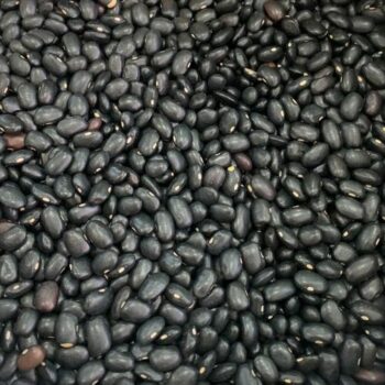 Alubia Frijol Negro /100 gr.