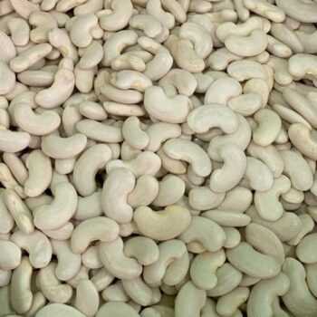 Alubia Ganxet /100 gr.