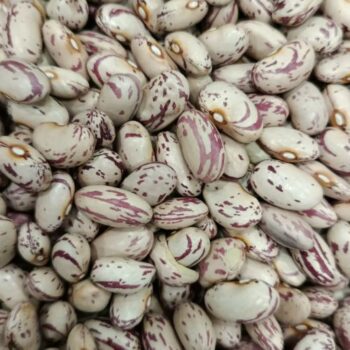 Alubia Pinta /100 gr.