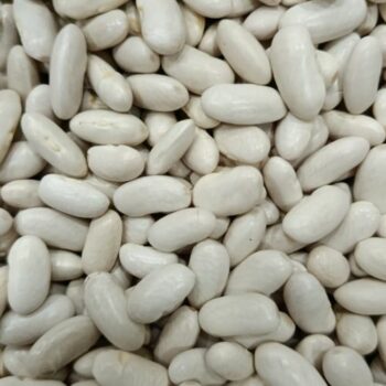 Alubia Riñón Larga /100 gr.