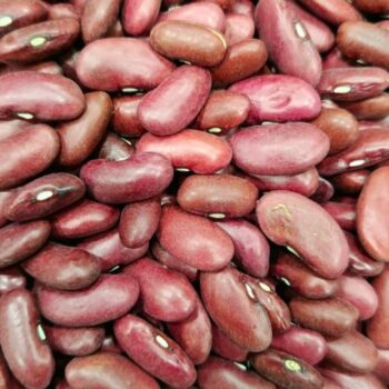 Alubia Roja Larga /100 gr.