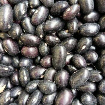 Alubia Tolosana /100 gr.