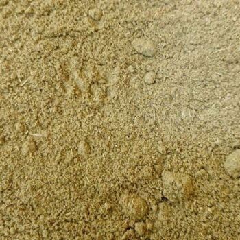 Anís Verde Molido /100 gr.