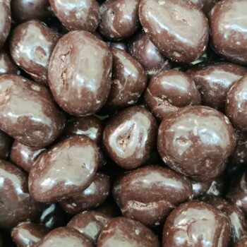 Arándanos Con Chocolate Negro /100 gr.