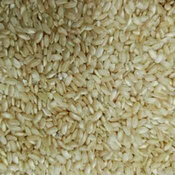 Arroz Rodó Integral /100 gr.