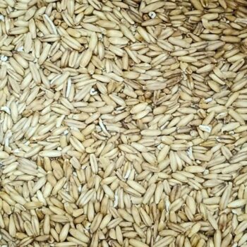 Avena en Grano Pelado /100 gr.