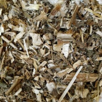 Cardo Mariano /100 gr.