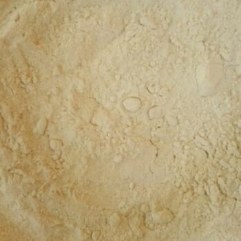 Cebolla en Polvo /100 gr.