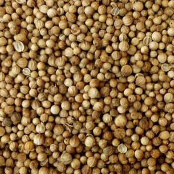 Cilantro Grano /100 gr.