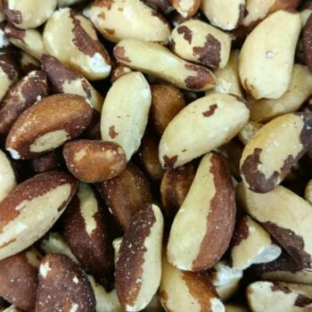 Coco de Brasil /100 gr.