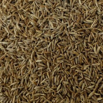 Comino en Grano /100 gr.