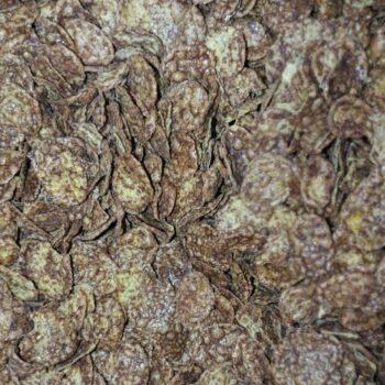 Copos de Maíz Chocolate /100 gr.