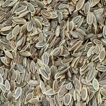 Eneldo Semillas /100 gr.