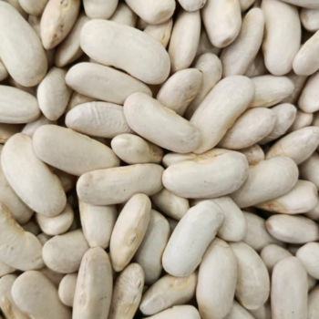 Faba Asturiana /100 gr.
