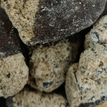 Galletas de Avena Integral, Jengibre, Menta y Chocolate /100 gr.