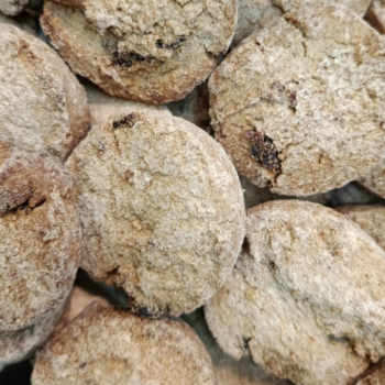 Galletas de Quinoa, Arroz y Arándanos Sin Azúcar /100 gr.