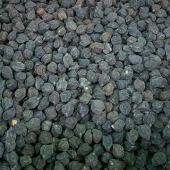 Garbanzo Negro /100 gr.