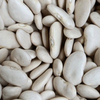 Garrafon judias /100 gr.