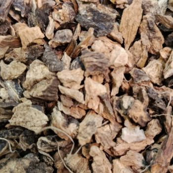 Genciana Hoja Cortada /100 gr.