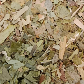 Ginko Biloba /100 gr.