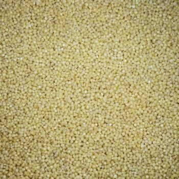 Grano de Mijo Pelado /100 gr.