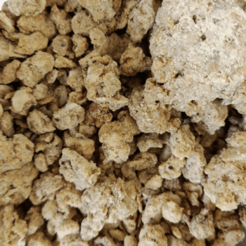 Granola Bites (Copos de Avena, Crema de Cacahuete, Eritritol, Limón Rallado, Semillas de Chía y Sésamo…) /100 gr.