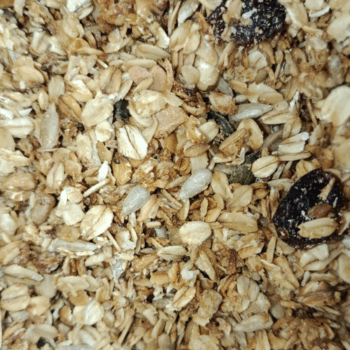 Granola Coco y Lemon (Coco Rallado, Pipas Girasol y Calabaza, Arándanos, Piel Limón, Aceite Oliva y Almendra) /100 gr.