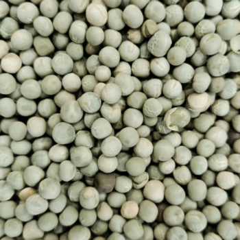 Guisante Verde Pelado /100 gr.