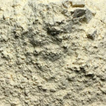 Harina Kamut /100 gr.