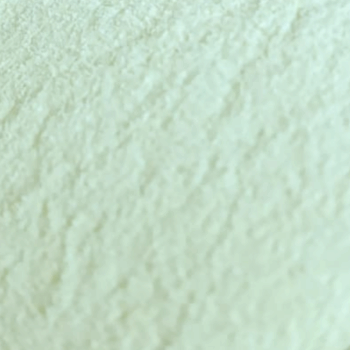 Harina de Almortas /100 gr.