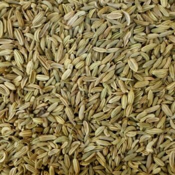 Hinojo Semillas /100 gr.