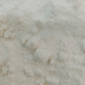 Leche de Coco en Polvo /100 gr.