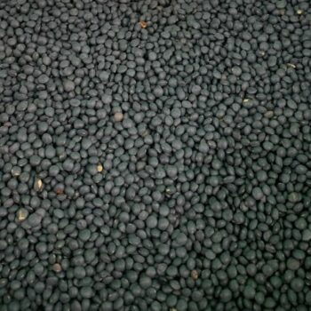 Lenteja Caviar /100 gr.