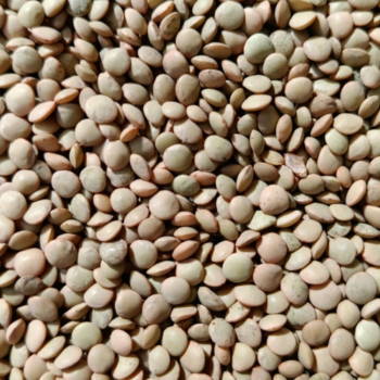 Lenteja Eston /100 gr.