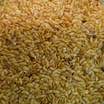 Lino Dorado /100 gr.