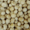 Macadamia Cruda /100 gr.