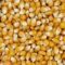 Maíz para Palomitas /100 gr.