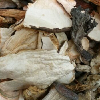 Mezcla de Setas Deshidratadas /100 gr.