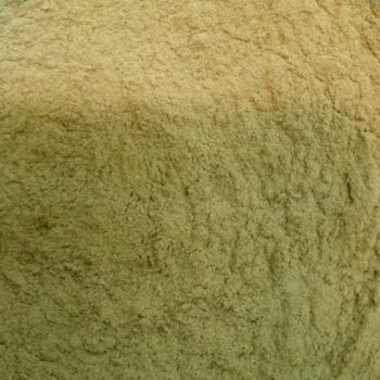 Moringa en Polvo Eco /100 gr.