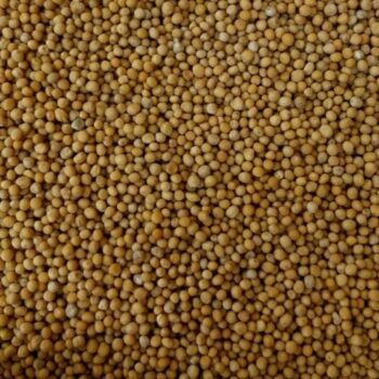 Mostaza Amarilla en Grano /100 gr.