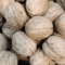 Nuez Cáscara Nacional /100 gr.