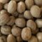 Nuez Moscada Grano /100 gr.