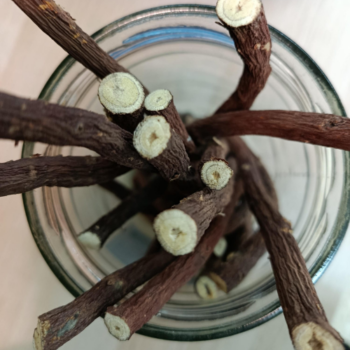 Palo Du (Regaliz) /100 gr.