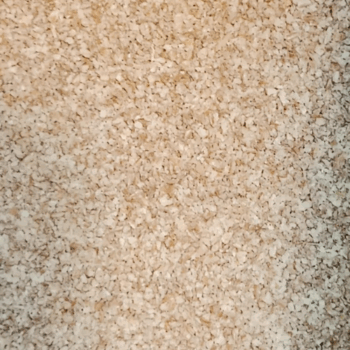 Pan Rallado Integral /100 gr.