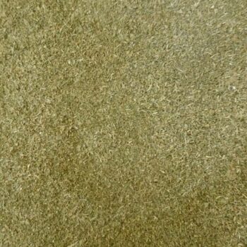 Perejil Molido /100 gr.