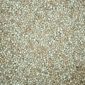 Quinoa Blanca Real /100 gr.