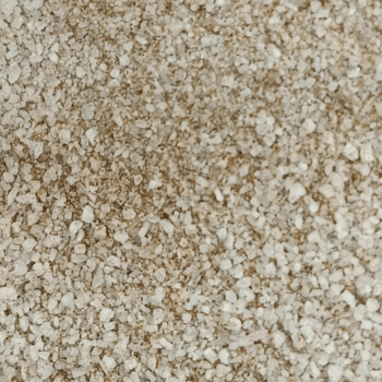 Sal de Apio /100 gr.