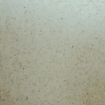 Sémola Trigo Duro Eco /100 gr.