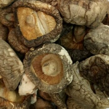 Setas Shitakes Deshidratadas /100 gr.