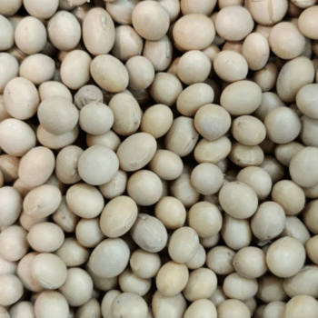 Soja Amarilla /100 gr.